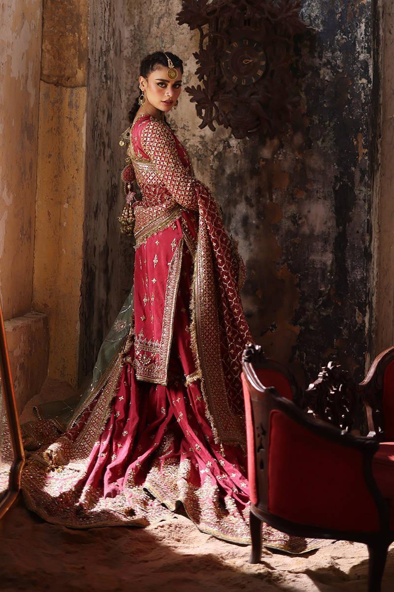 Moshsin Naveed Ranjha Orgnaza Hand Made Unstitched Collection Ruhi Begum - 3 Pieces Organza - Zainabjees
