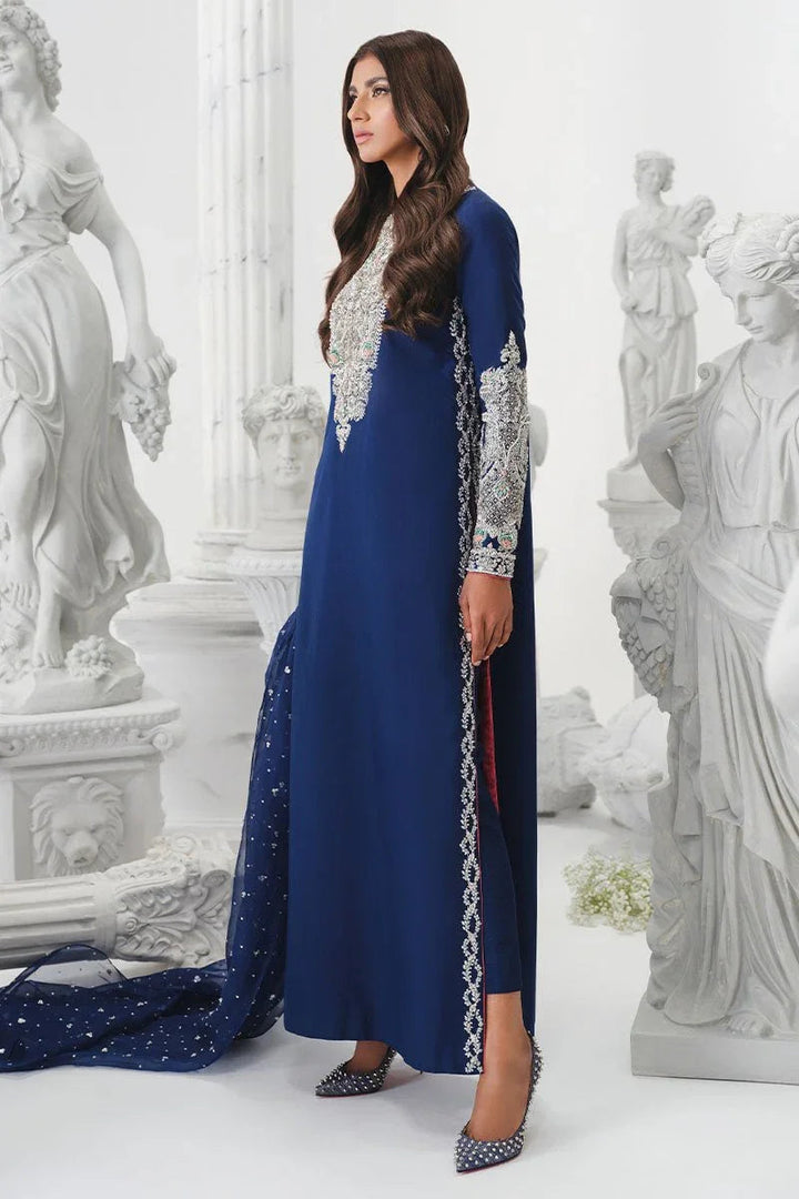 Khaka Hand Embroidered Raw Silk Collection Unstitched Astral - 3 Pieces Raw Silk - Zainabjees