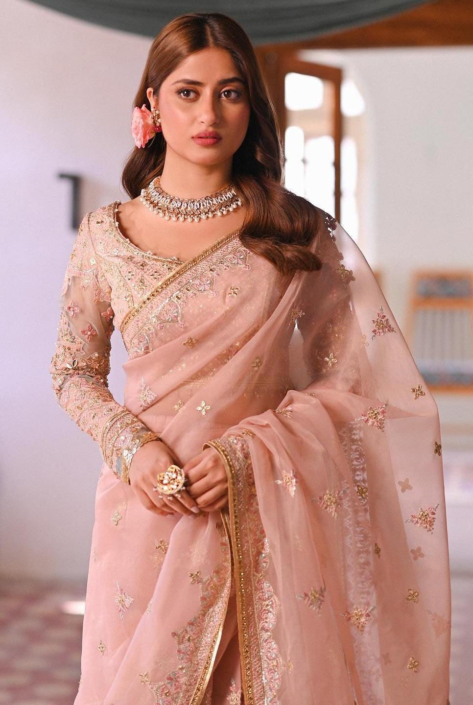 Qalamkar Sahiba Organza Embroidered Unstitched Saree RANYA