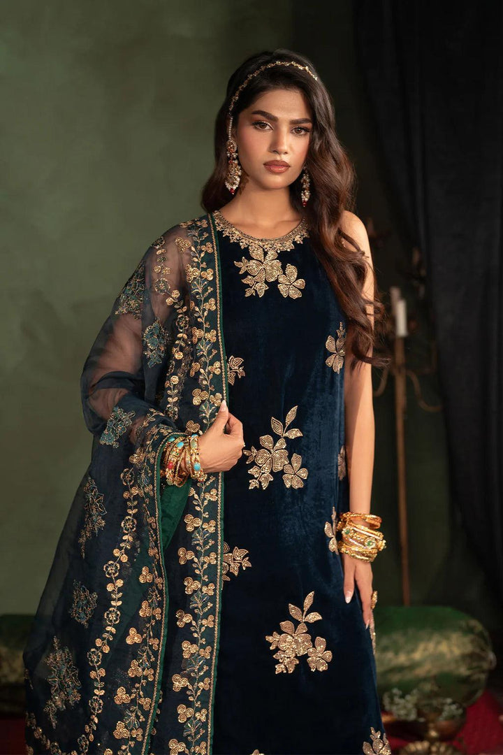 Iznik Luxury 9000 Micro Velvet Unstitched Embroidered Suits IV - 51 - 3 pieces Velvet - Zainabjees