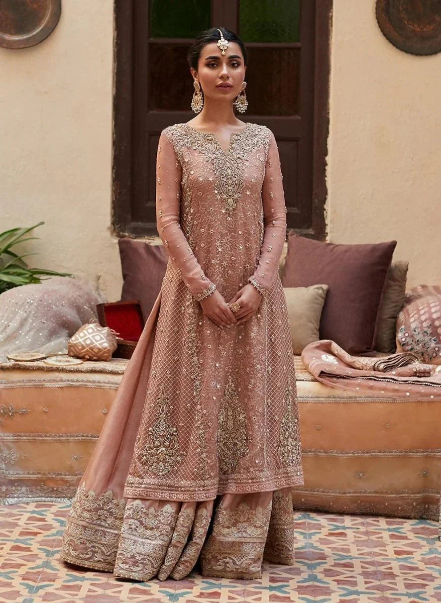 Faiza Saqlain Formals - Zeena Pure Chiffon Embroidered 3 Pieces Unstitched - 3 Pieces Organza - Zainabjees